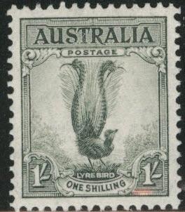 Australia Scott 175a MH* Lyre bird stamp perf 13.5x14 CV$22.