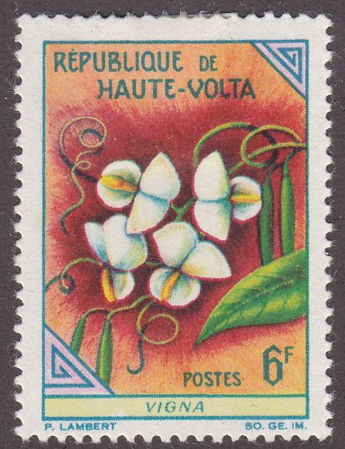 Burkina Faso 117 Cowpea 1963