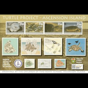 ASCENSION 2000 - Scott# 754e S/S Turtle Opt. NH