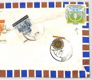 Pakistan UNITED NATIONS *FAO* LABELS Mulkan *Cotton Research* Cover 1981 BT235