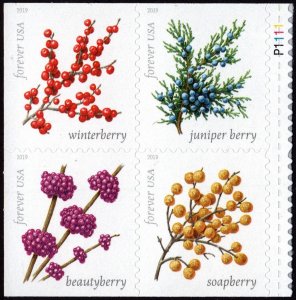 SC#5415-18 (55¢) Winter Berries Block of Four (2019) SA