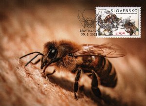 Slovakia 2023 official maxim card honey bees