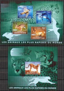 Central African Republic 2014 Seed Animals Rabbits Birds Fishes Sheet + S/S MNH