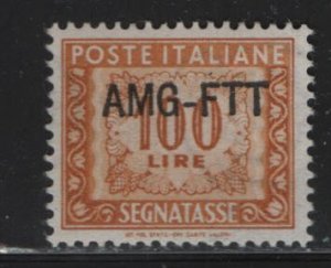 Trieste  J28  MINT HINGED