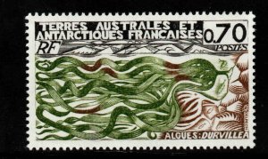 FSAT TAAF Scott 71 MNH**  Algae stamp