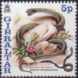 GIBRALTAR 2001 - Scott# 866 Snakes 5p NH