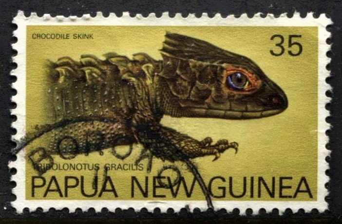 STAMP STATION PERTH Papua New Guinea #480 Skinks Used