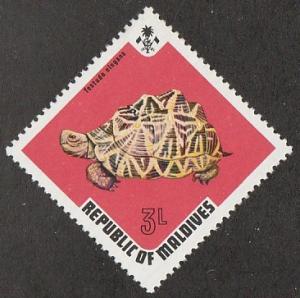 449,MNH Maldive Islands