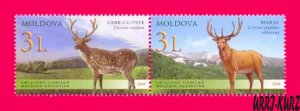 MOLDOVA 2008 Joint Kazakhstan Fauna Animals Mammals Deers 2v se-ten Mi623-Mi624