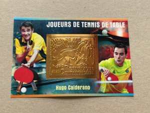 Sports Table Tennis 2023 year 6 blocks Foil. Bronze perforated  NEW MNH**