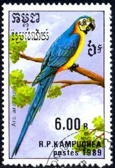 Bird, Parrot, Cambodia stamp SC#941 used