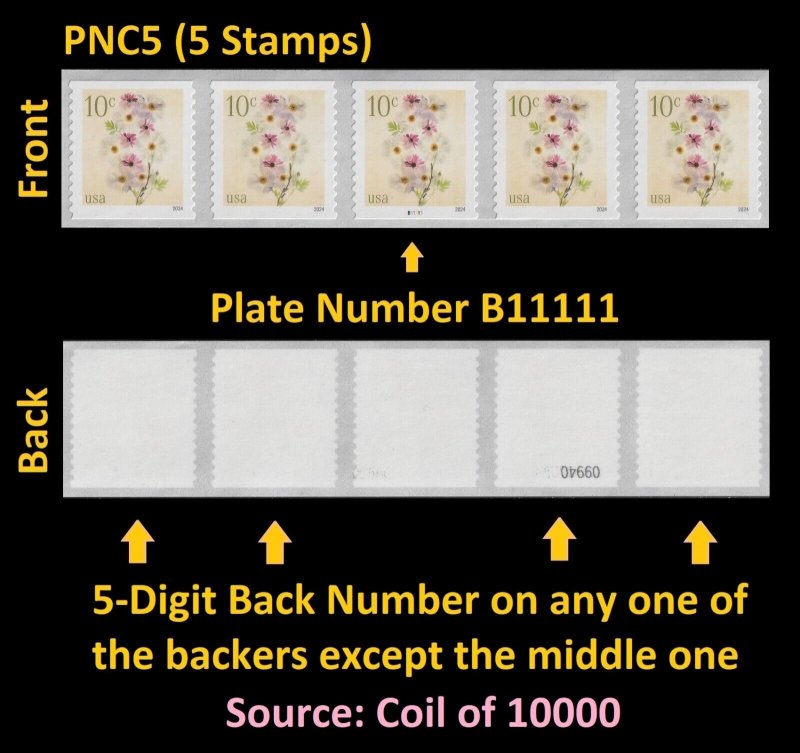 US Flowers Poppies & Coneflowers 10c PNC5 B11111 5d back # MNH 2024