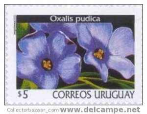 URUGUAY 2002 STAMP MNH TOPIC Flower Plants Oxalis Pùdica