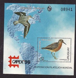 Uruguay-Sc#1615-unused NH sheet-Birds-Maps-Capex 1996-