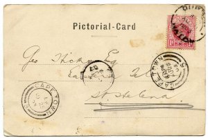 Natal 1d on post card to St. Helena, 1903