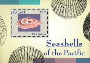 Palau 2013 - Seashells of the Pacific - Souvenir Stamp Sheet - Scott #1134 - MNH