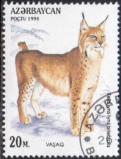 Azerbaijan 466 - Cto - 20m Caucasian Lynx (1994) (cv $0.60) (2)