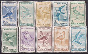 Romania (1991) Sc 3639-48 MNH. Birds