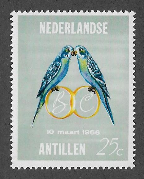 302,MNH