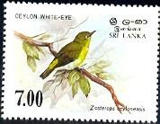 Bird, Ceylon White-Eye, Sri Lanka stamp SC#877 MNH