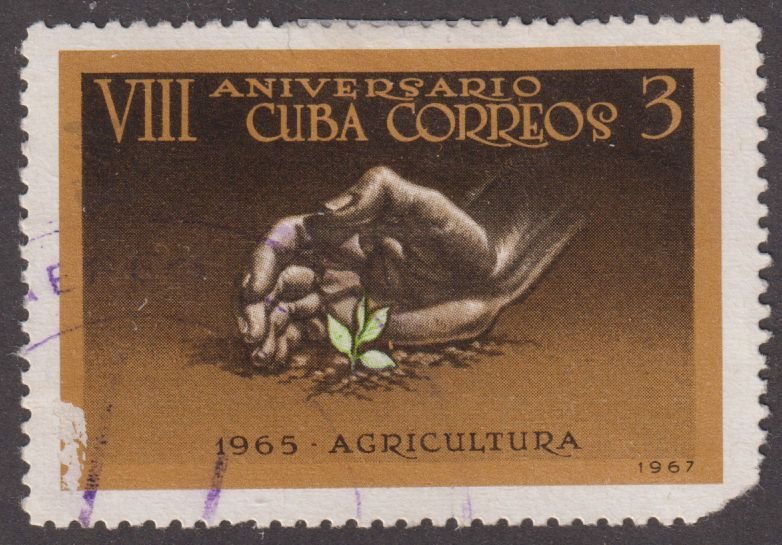 Cuba 1197 Agriculture 1967