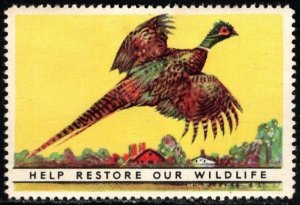 1938 US Poster Stamp National Wildlife Federation Ring-Necked Pheasant