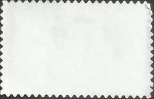 # C142 USED OKEFENOKEE SWAMP