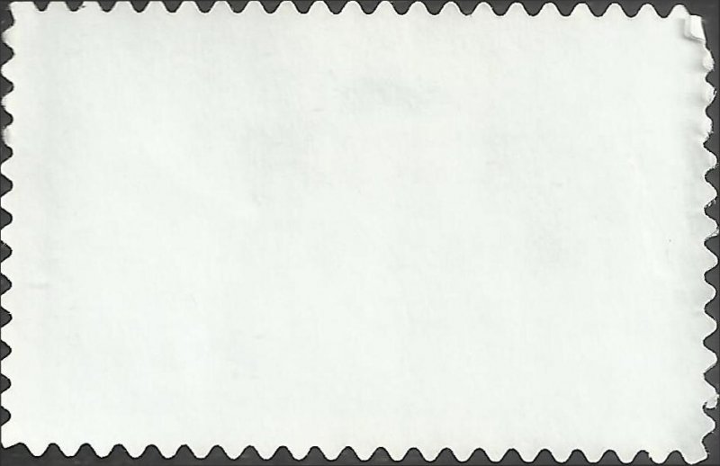 # C142 USED OKEFENOKEE SWAMP