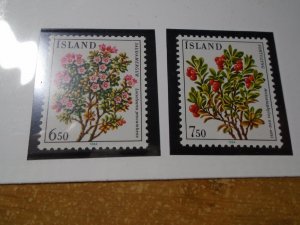 Flowers :  Iceland  #  593-94  MNH