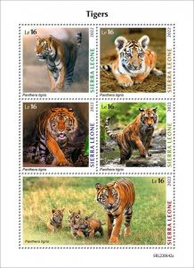 Sierra Leone - 2022 Tigers on Stamps - 5 Stamp Sheet - SRL220642a