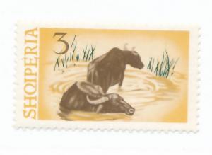 Albania 1965 - Scott 798 MH - 3l, Water Buffalo