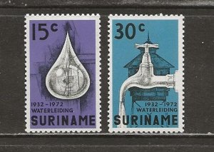 Surinam Scott catalog # 395-396 Mint NH