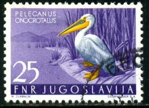 Bird, White Pelican, Yugoslavia stamp SC#403 used 