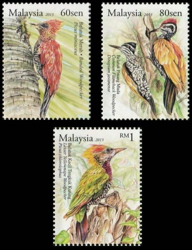 *FREE SHIP Woodpecker Malaysia 2013 Bird Nature Wildlife Forest (stamp) MNH