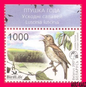 BELARUS 2007 Nature Fauna Bird of Year Nightingale 1v Sc617 Mi662 MNH