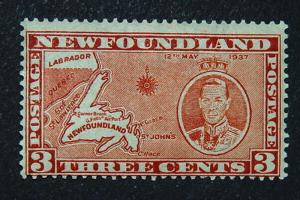Newfoundland #234 MHR CV$2.50
