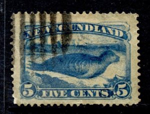 Newfoundland Stamp #53 USED SINGLE