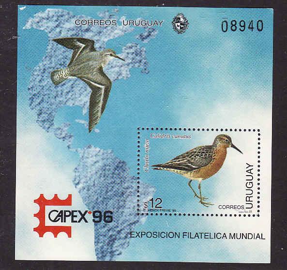 Uruguay-Sc#1615-unused NH sheet-Birds-Maps-Capex 1996-very small white spot top