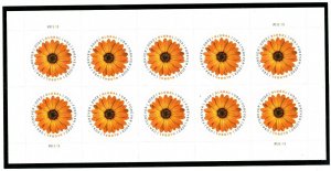US  5680   African Daisy - Global Forever Pane of 10 -  MNH  - 2022 - P111111