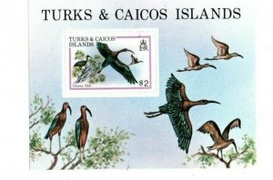 Turks and Caicos 1980 - Bird Species - Souvenir Stamp Sheet - Scott#430 - MNH