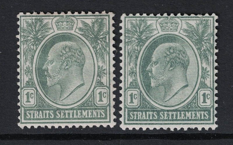 Straits Settlements SG# 127 & 127b Mint Hinged / Hinge Rems - S20337