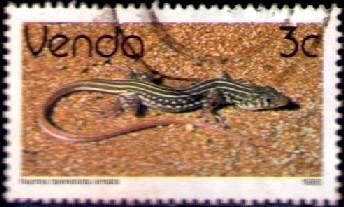 Reptile, Striped Sandveld Lizard, Venda stamp SC#130 used 
