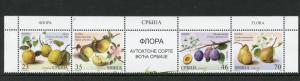 Serbia 2015 MNH Flora Fruits & Blossoms 4v Strip Flowers Nature