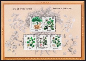 India 2025 Medicinal Plants,Ayurveda,Health,Flower,Fruit,Medicine,MS MNH