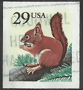 # 2489 USED RED SQUIRREL    