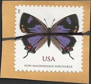 # 5568 Used Colorado Hairstreak Butterfly