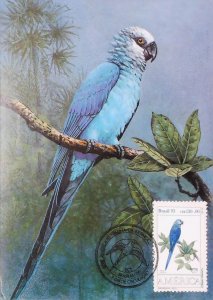 Brazil Wildlife Postcard Birds Parrot 20986-