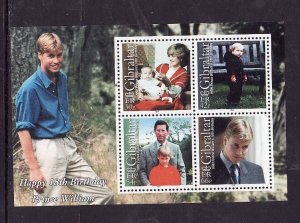 Gibraltar-Sc#845a-unused NH sheet-Princess Diana-Prince William-18th birthday-20