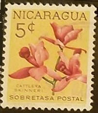 Nicaragua RA71