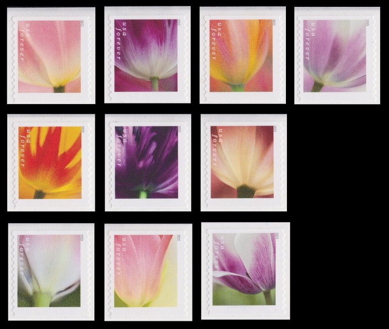 US 5767-5776 Tulip Blossoms forever set (10 stamps from coil) MNH 2023